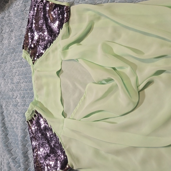 Sheer Green Top with Sequined Sleeves - Picture 6 of 6